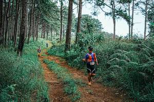 BIB: 
                            <button type="button" onclick="openModal(25687835)" class="btn btn-primary btn-sm float-right btn-popup" data-toggle="modal" data-target=".modal-high-quality">
                        <i class="fas fa-shopping-cart"></i> Add to Cart
                    </button>
                                            <button type="button" onclick="isThisMe(25687835, true)" class="btn btn-success btn-sm float-right btn-popup btn-isme hidden" data-toggle="tooltip" data-placement="bottom" title="นี่คือรูปของคุณใช่ไหม คลิกที่นี่เพื่อเอาเข้าอัลบั้ม">
                        <i class="fas fa-plus"></i> Add to album
                    </button>
                    <button type="button" onclick="isThisMe(25687835, false)" class="btn btn-warning btn-sm float-right btn-popup btn-isnotme hidden">
                        <i class="fas fa-ban"></i> Remove from album
                    </button>